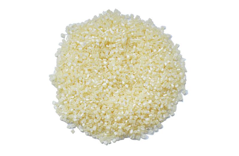 cardia-bioplastics.jpeg