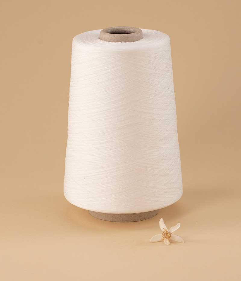 orange-fiber.jpeg